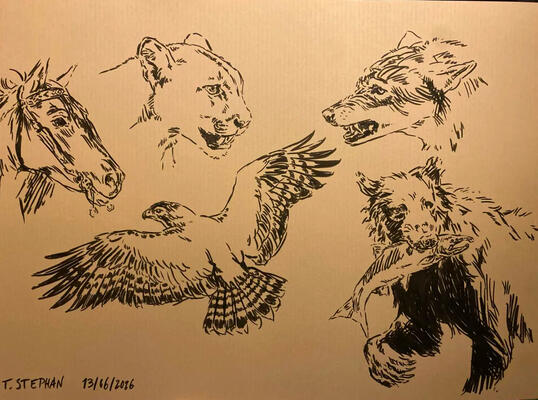 Untitled