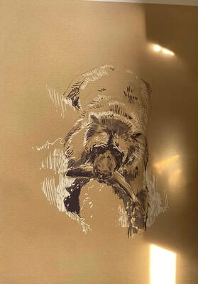 Untitled Untitled