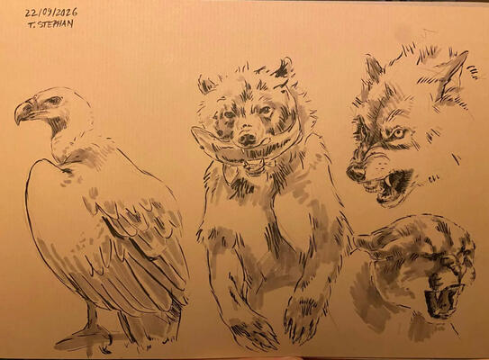 Untitled Untitled